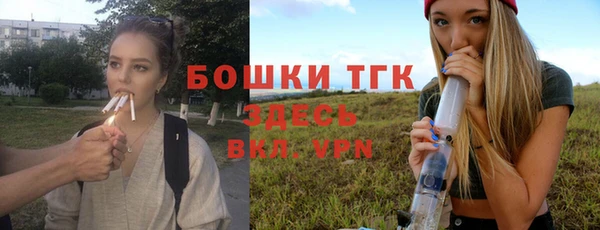 ALPHA-PVP Туринск