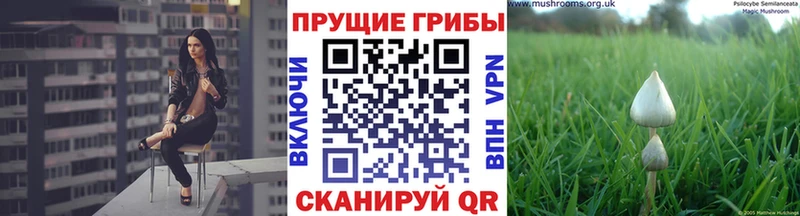 Галлюциногенные грибы ЛСД  Купить где  Северобайкальск 